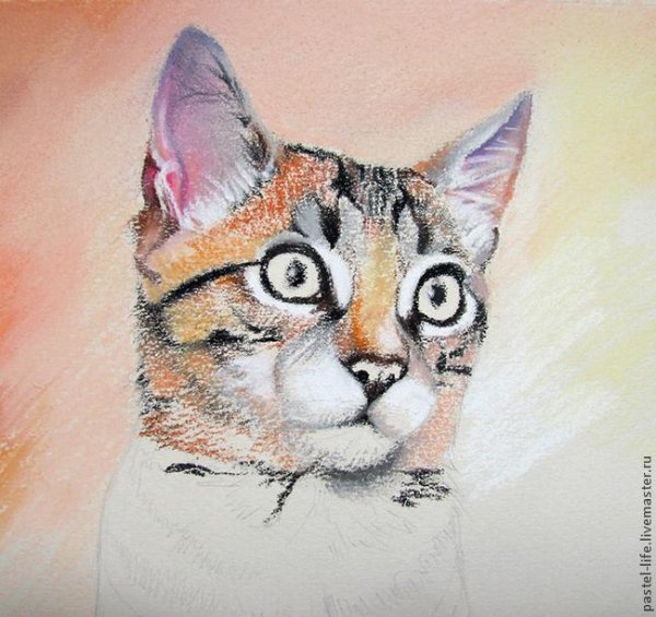 Кот масляной пастелью