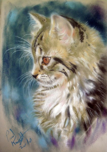 Художник кошки пастелью Paul Knight