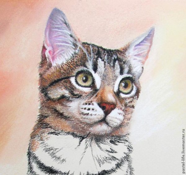 Мастер класс по рисованию кошки