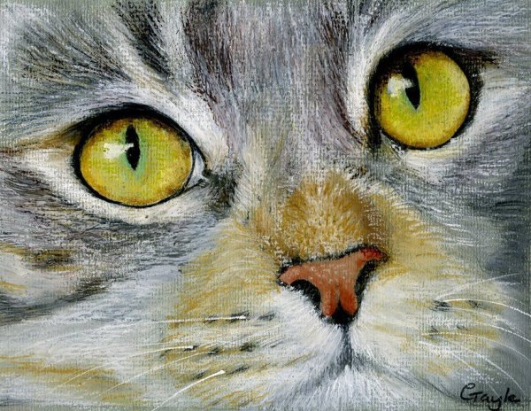 Коты масляной пастелью