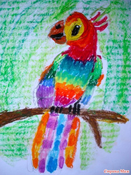 Попугай масляной пастелью
