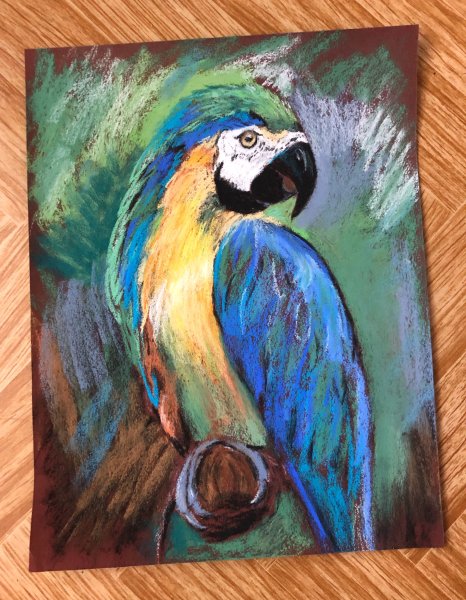 Пастель на наждачной бумаге