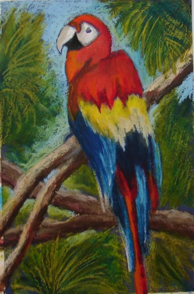 Попугай гуашью