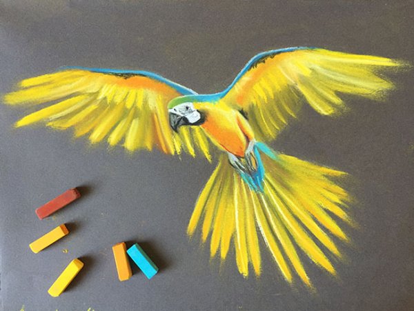 Рисование пастельными карандашами