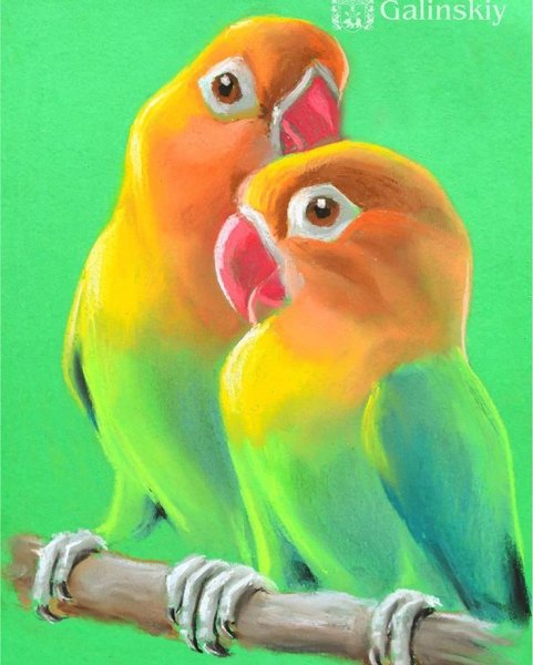 Екатерина Шешина рисунок пастелью