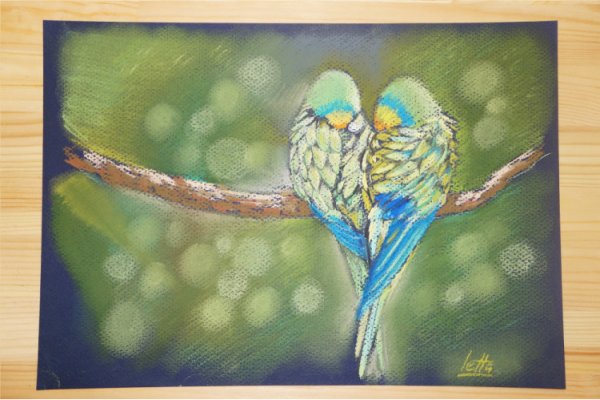 Попугай пастелью