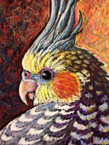 Попугай восковыми мелками