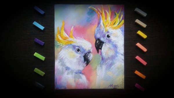 Попугай пастелью