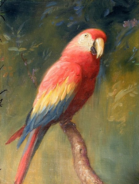 Попугай пастелью