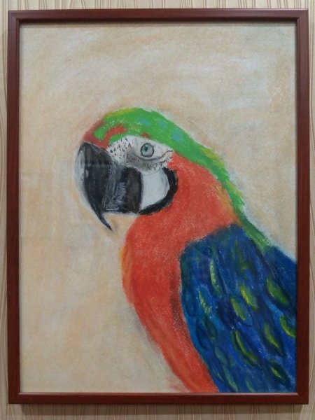 Попугай масляной пастелью