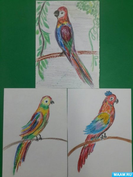 Поэтапное рисование попугая ара