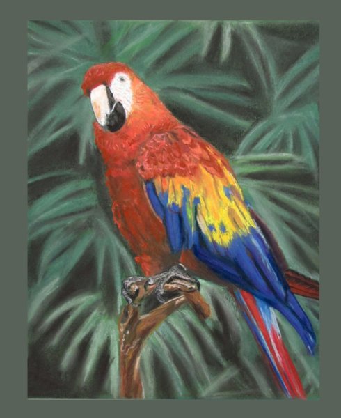 Рисование цветными карандашами мастер класс