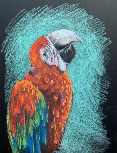 Рисование пастелью для начинающих