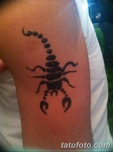 Тату Скорпион абстракция
