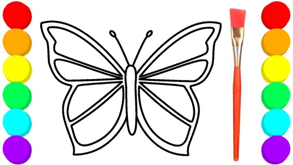 Бабочка раскраска для детей