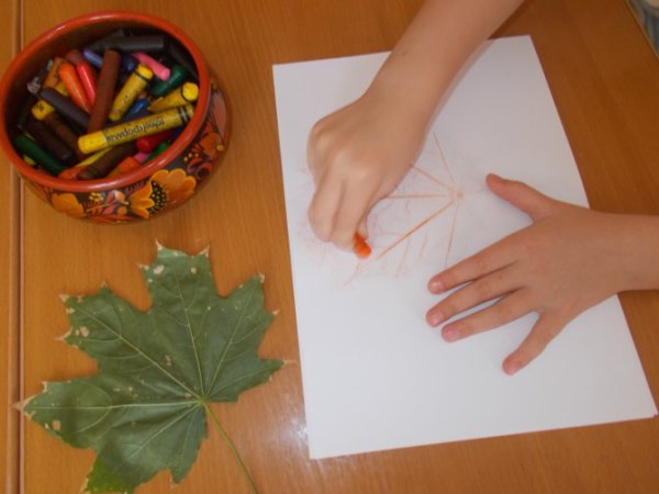 Оттиск листьев восковыми мелками