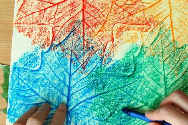 Отпечатки листьев на бумаге