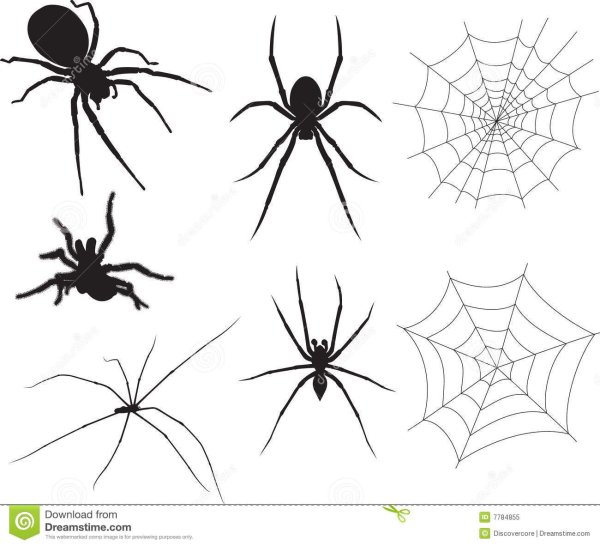 Эскиз тату паук маленький