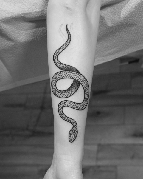 Тату змея на руке