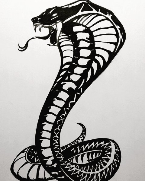 Королевская Кобра змея тату
