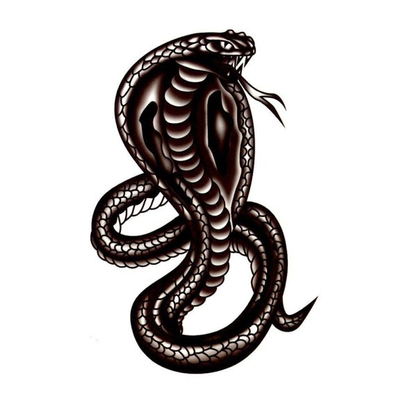 Кобра тату эскиз
