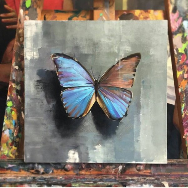 Бабочки маслом на холсте