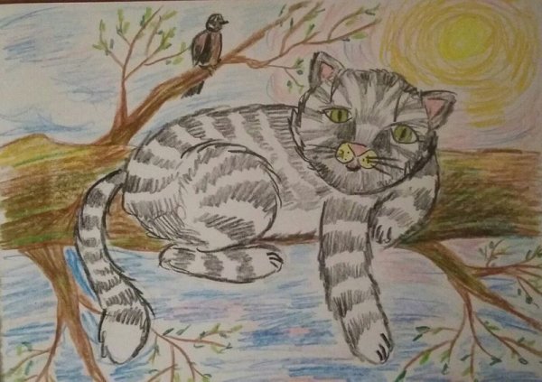 Котик цветными карандашами