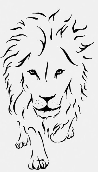 Лев рисунок