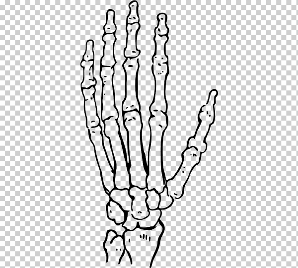 Скелет на руке черной ручкой
