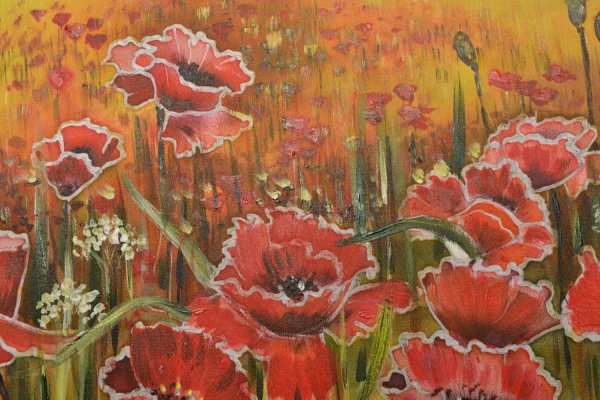 Маки гуашью