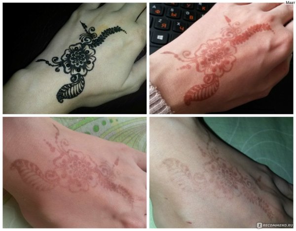 Пальма мехенди