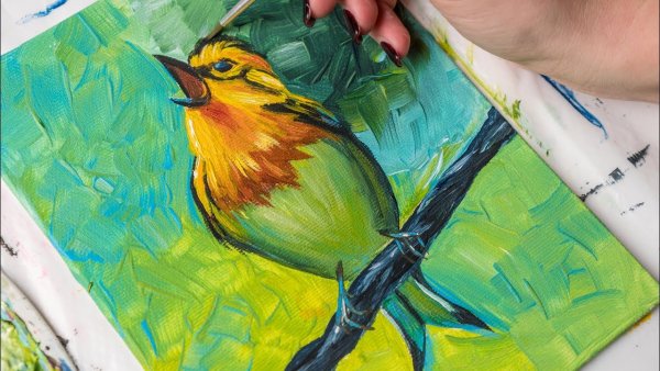 Птичка красками
