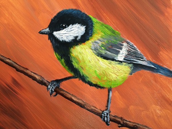 Рисование синицы красками