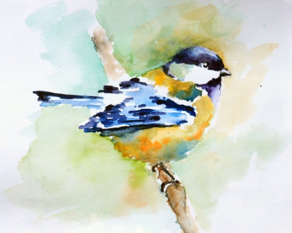 Птицы акварелью