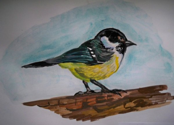 Синичка красками