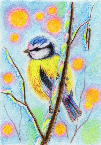 Рисунки цветными карандашами для детей