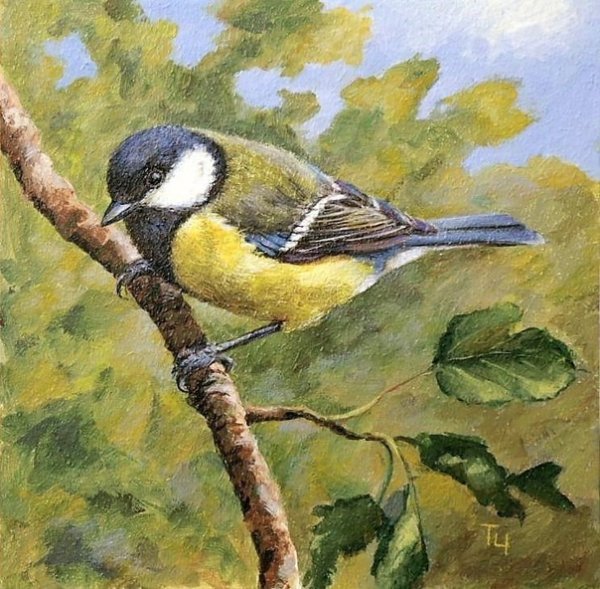 Синица живопись