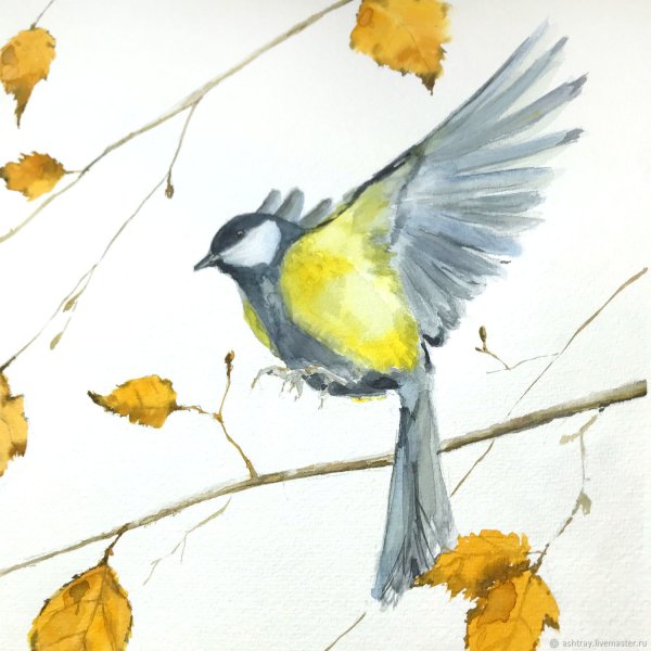 Синица акварелью