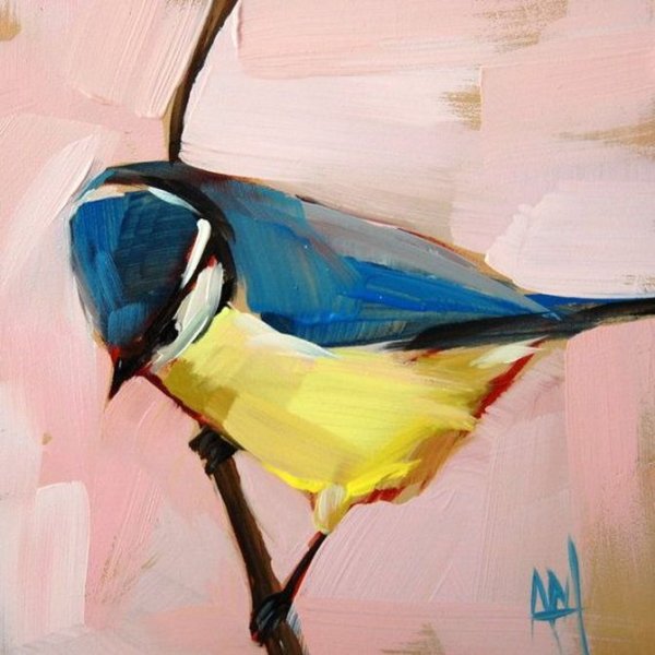 Angela Moulton птицы