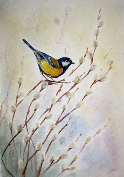 Синица акварелью
