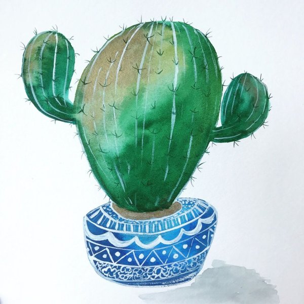 Экман кактусы