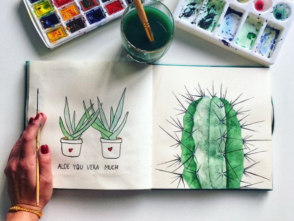 Скетчбук Кактус Акварельные краски