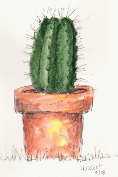 Кактус в горшке акварелью