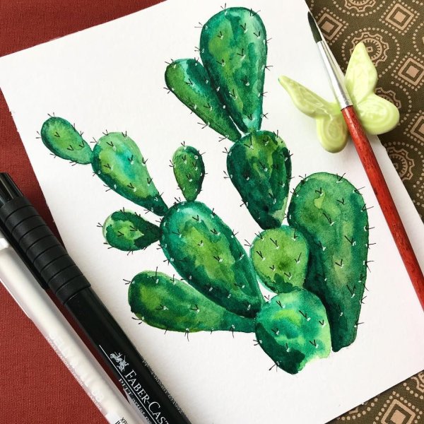 Рисование красками Кактус