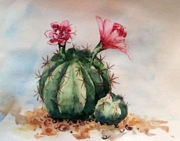 Кактус гуашью