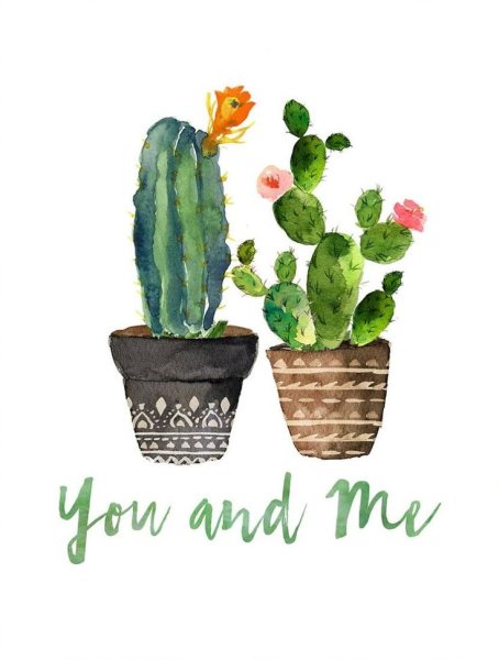 Акварельные кактусы в горшках