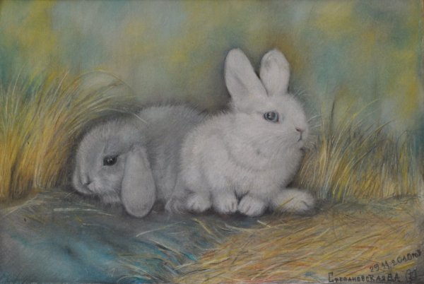 Заяц цветными карандашами