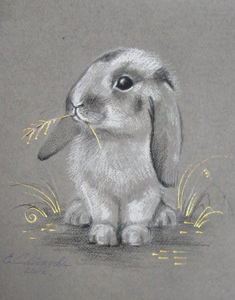 Рисование животных пастелью