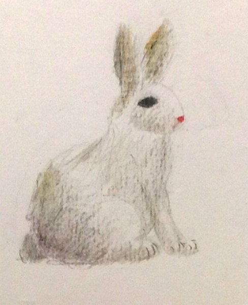 Заяц восковыми карандашами