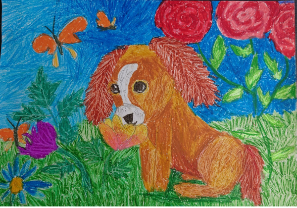 Животные сухой пастелью